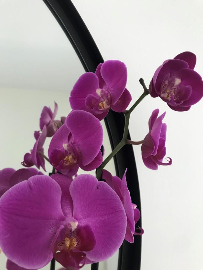 Sotto La Vigna Charm Stay Adults Only Vacation Suite 蒙特格罗索达斯提 外观 照片