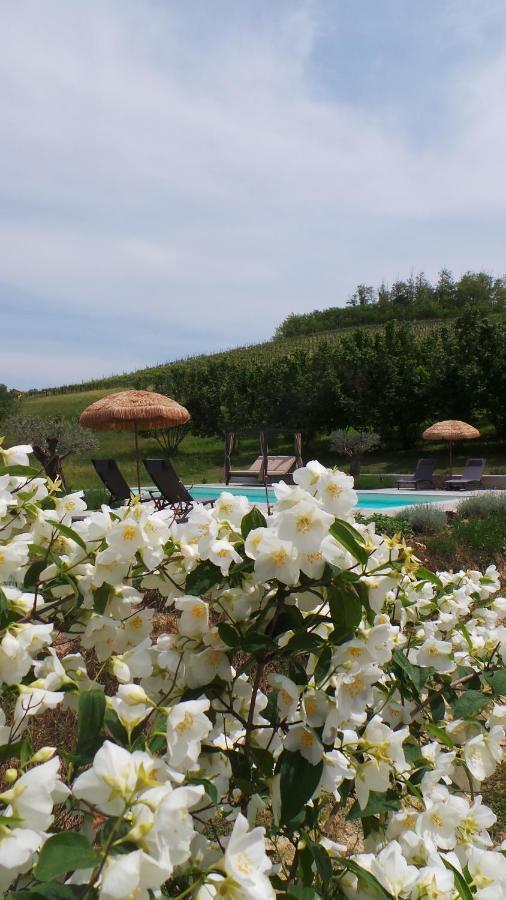 Sotto La Vigna Charm Stay Adults Only Vacation Suite 蒙特格罗索达斯提 外观 照片